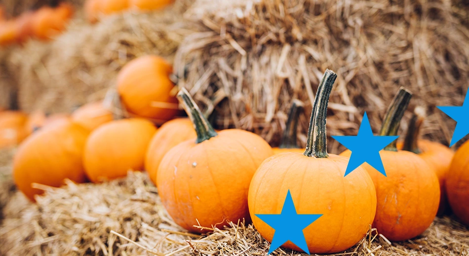 Zucche di halloween a rappresentare le opportunità dei bandi europei 2025 di ottobre