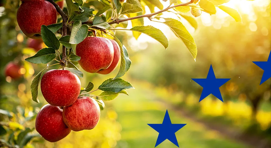 Immagine di un campo autunnale con delle mele a rappresentare i bandi europei di settembre 2025